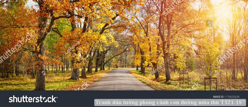 Tranh dán tường phong cảnh con đường mùa thu T321-187